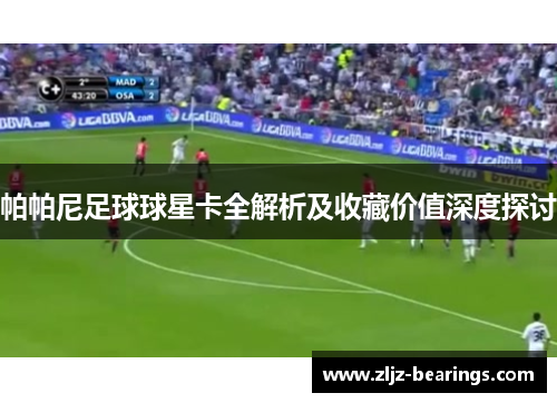 帕帕尼足球球星卡全解析及收藏价值深度探讨