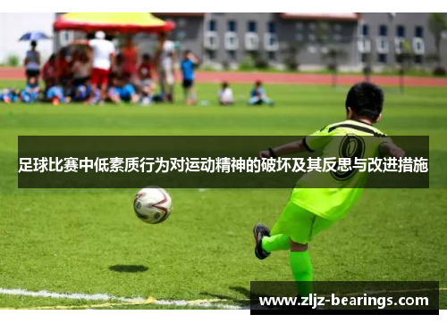 足球比赛中低素质行为对运动精神的破坏及其反思与改进措施